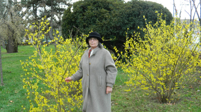 DSCN1296 - TIMISOARA 2012