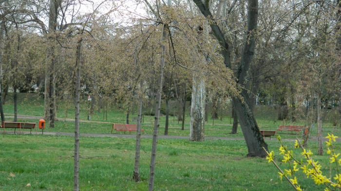 DSCN1299 - TIMISOARA 2012