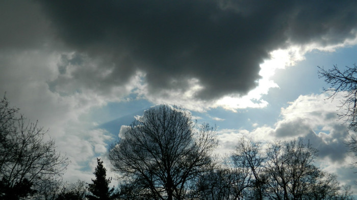 DSCN1313 - TIMISOARA 2012