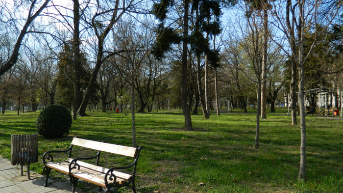 DSCN1314 - TIMISOARA 2012