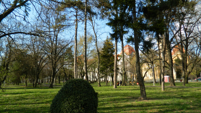 DSCN1315 - TIMISOARA 2012