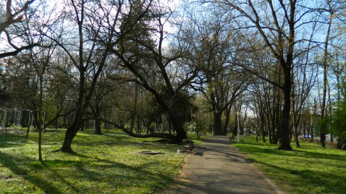 DSCN1318 - TIMISOARA 2012