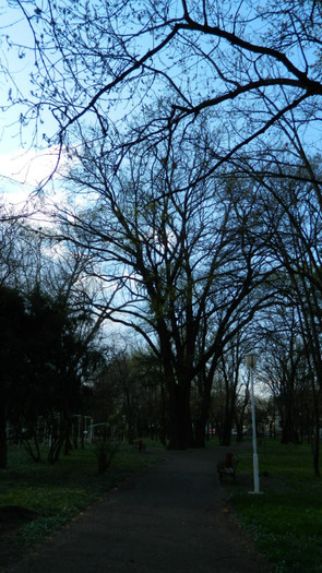 DSCN1320 - TIMISOARA 2012