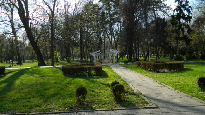 DSCN1322 - TIMISOARA 2012