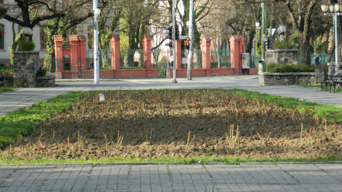 DSCN1323 - TIMISOARA 2012