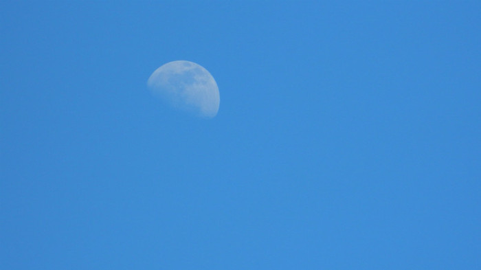 DSCN1325 - TIMISOARA 2012