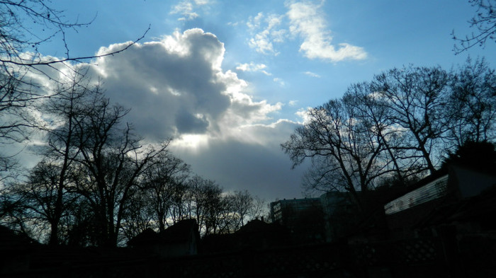 DSCN1330 - TIMISOARA 2012