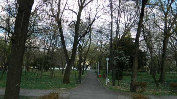 DSCN1332 - TIMISOARA 2012