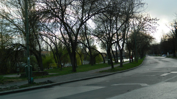 DSCN1334 - TIMISOARA 2012