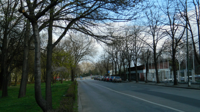 DSCN1335 - TIMISOARA 2012