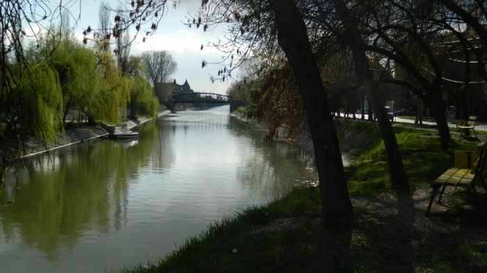 DSCN1337 - TIMISOARA 2012