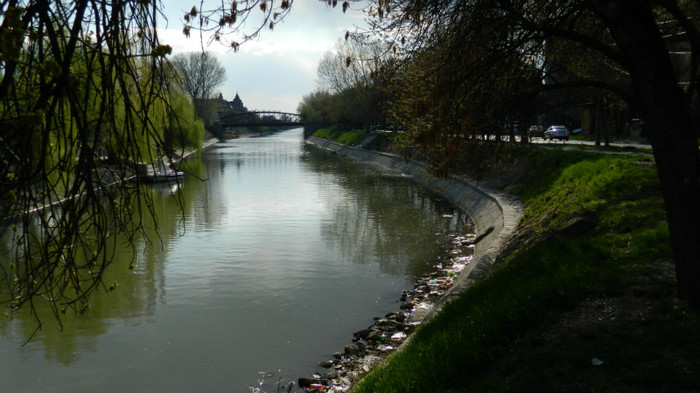 DSCN1338 - TIMISOARA 2012