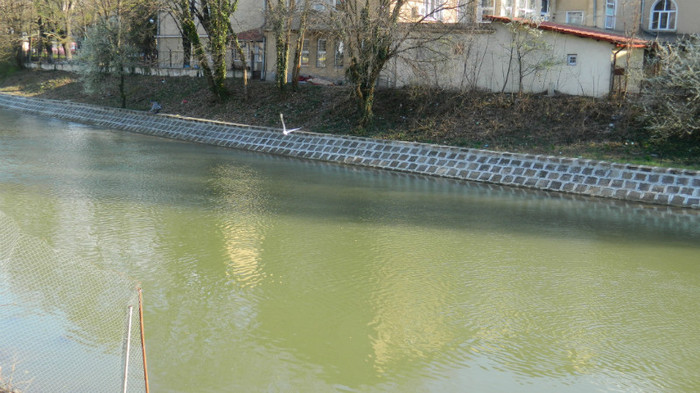 DSCN1340 - TIMISOARA 2012