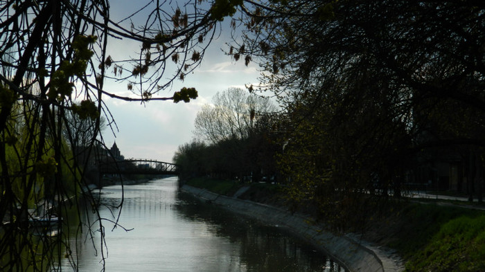 DSCN1343 - TIMISOARA 2012