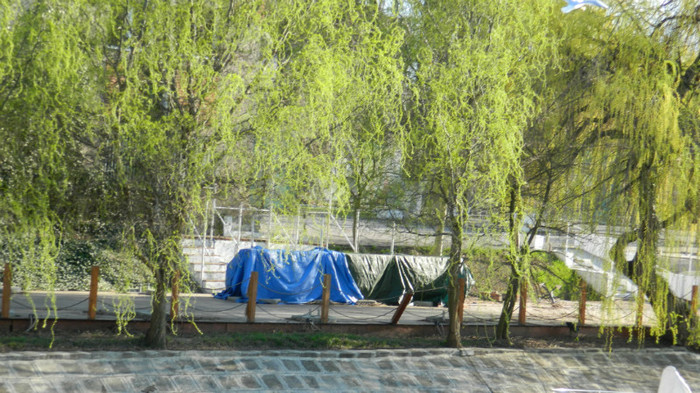 DSCN1352 - TIMISOARA 2012