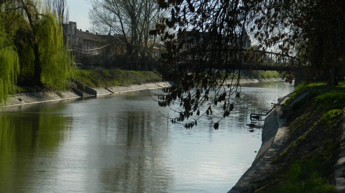 DSCN1353 - TIMISOARA 2012