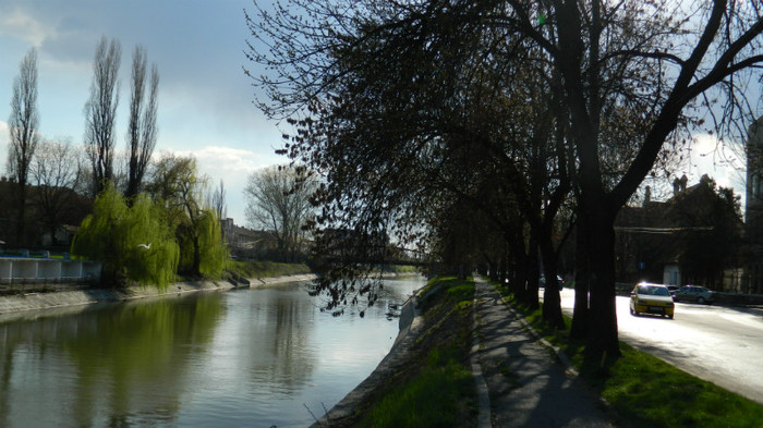 DSCN1355 - TIMISOARA 2012