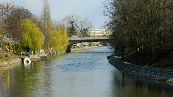 DSCN1356 - TIMISOARA 2012