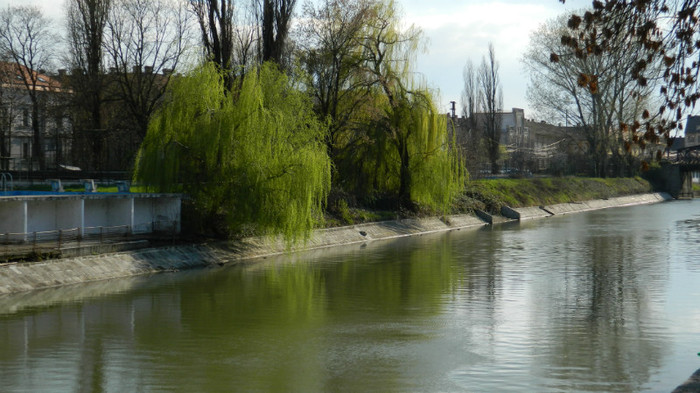 DSCN1357 - TIMISOARA 2012