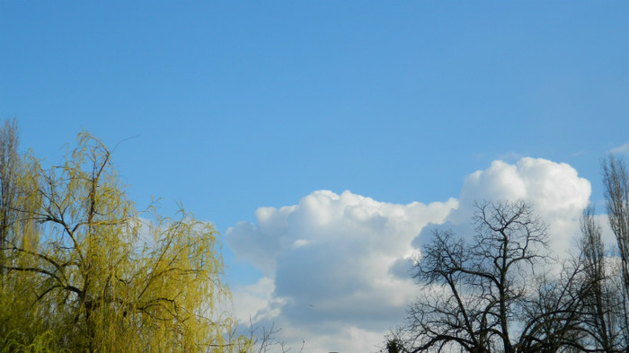 DSCN1358 - TIMISOARA 2012