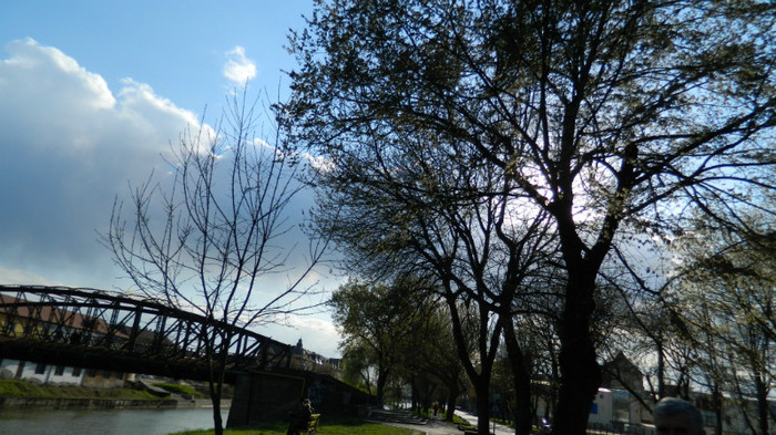 DSCN1367 - TIMISOARA 2012