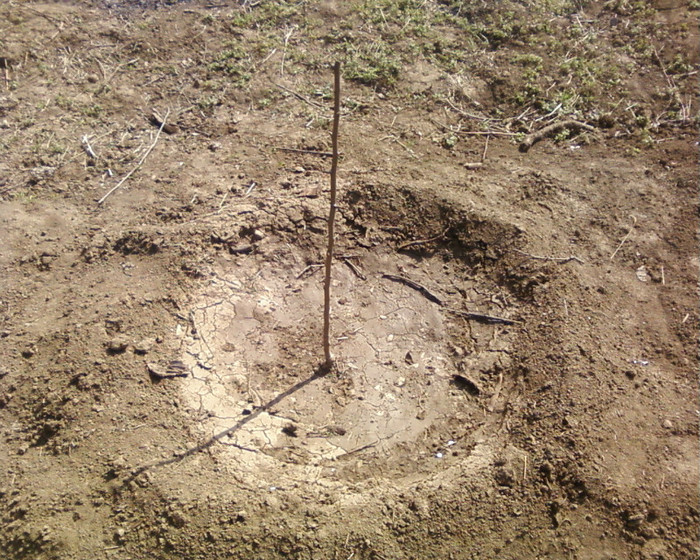 pui par; piu par 2012
