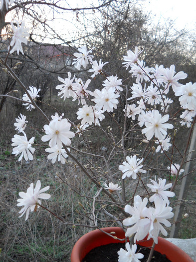 DSCN2245