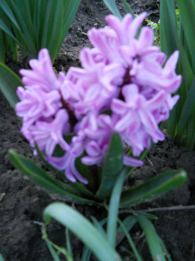 DSCN2255