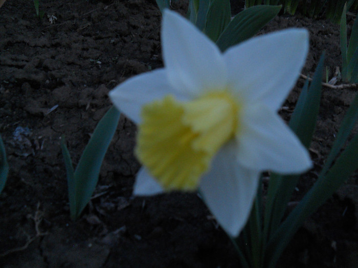 DSCN2284