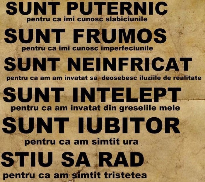 Sunt - I sunt I