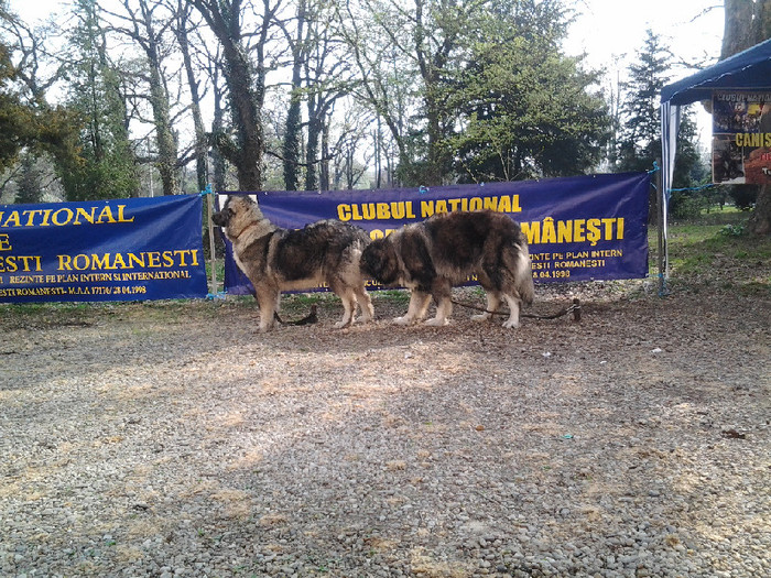 20120407_095306 - Bucuresti prezentare oficiala rase romanesti 2012