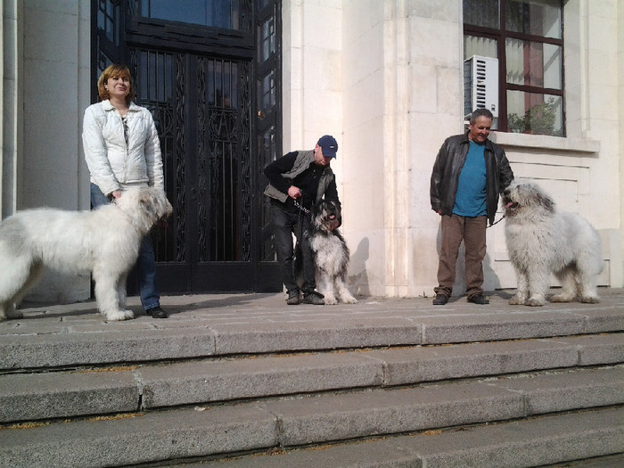 20120407_092331 - Bucuresti prezentare oficiala rase romanesti 2012