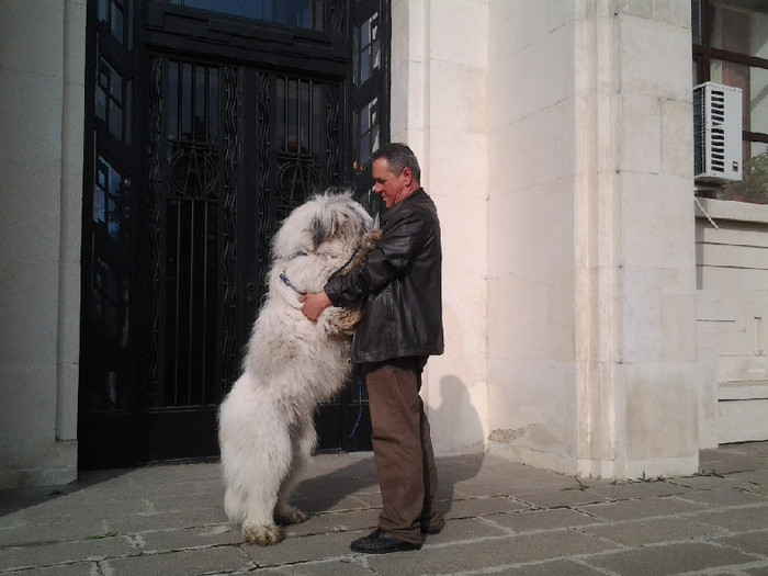 Cadana de Romania 6 - Bucuresti prezentare oficiala rase romanesti 2012