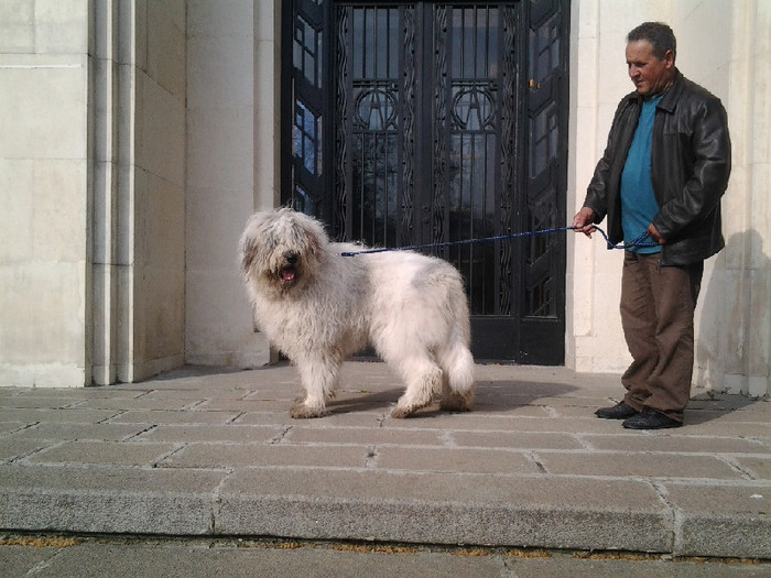 Cadana de Romania 8 - Bucuresti prezentare oficiala rase romanesti 2012