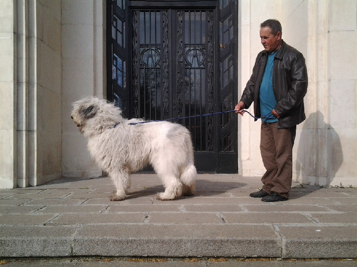 Cadana de Romania 9 - Bucuresti prezentare oficiala rase romanesti 2012