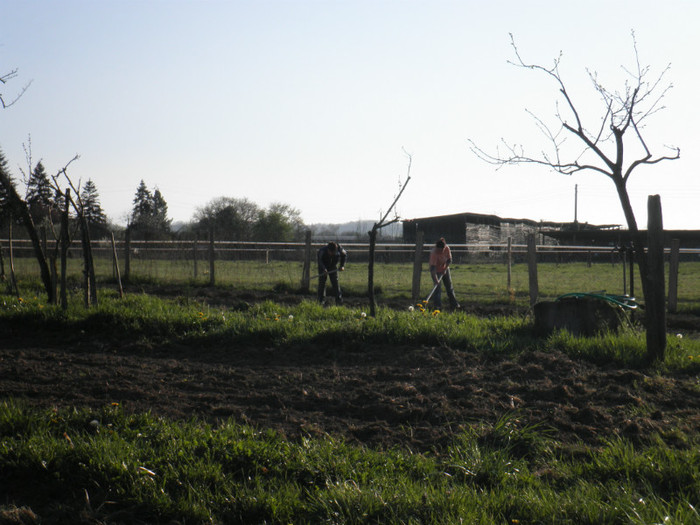 P3300145