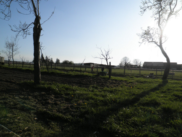 P3300146 - PRINTEMPS2012