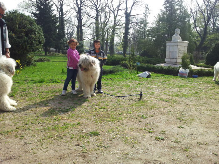 Cadana de Romania 12