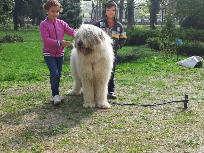 Cadana de Romania 13
