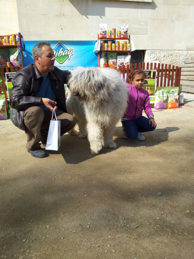 Cadana de Romania 14