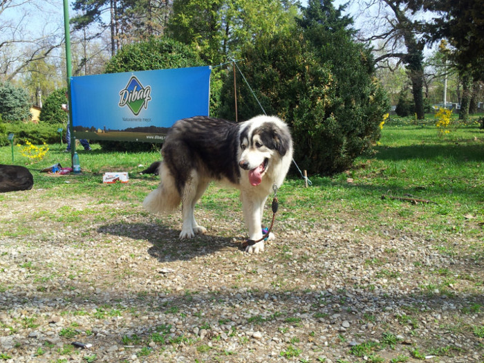 20120407_115305