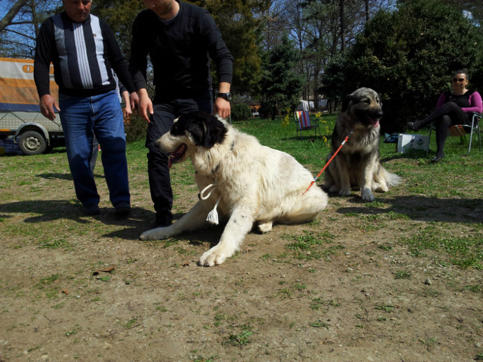 20120407_115825