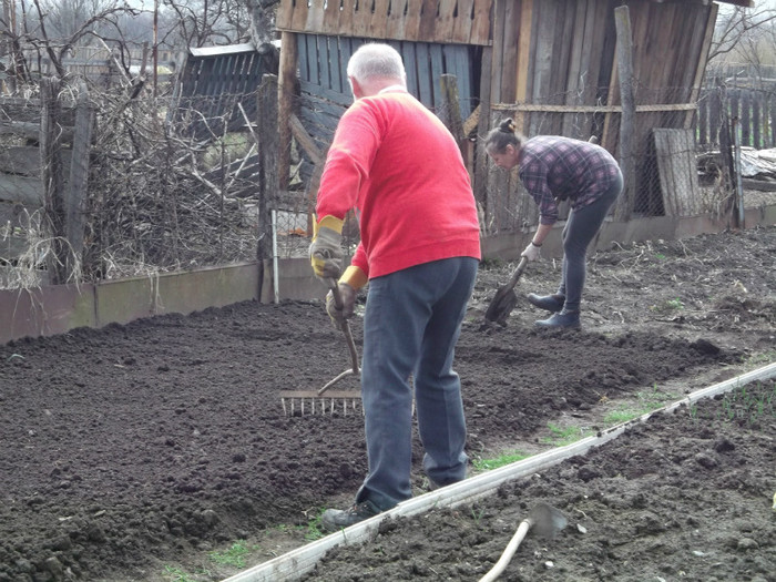 LA PLANTAT ARPAGIC.........