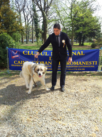 20120407_110846 - Prezentarea oficiala rase romanesti 2012