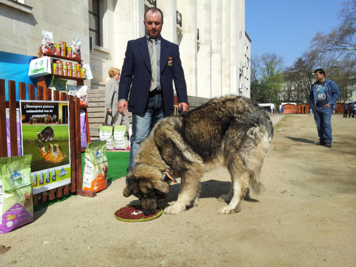 20120407_111518 - Prezentarea oficiala rase romanesti 2012