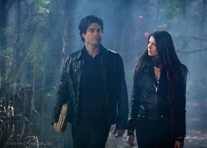 damon and elena 5