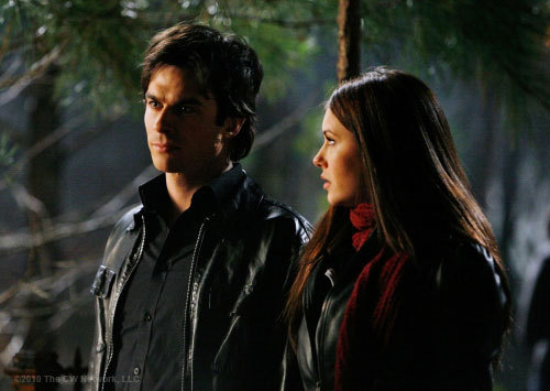 damon and elena 6 - Pentru fanii Damon and Elena