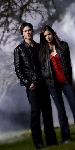 damon and elena 9 - Pentru fanii Damon and Elena