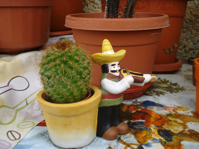 DSC09486 - cactusi 2012