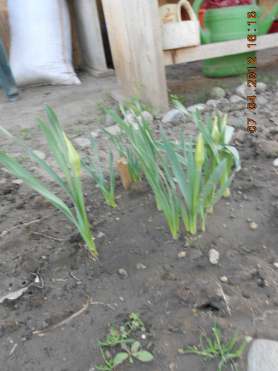 DSCN1762